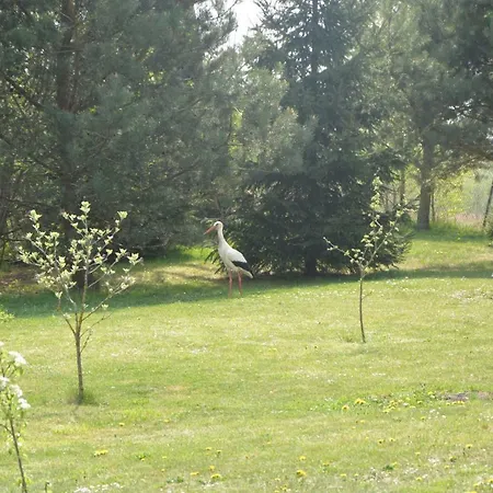 Hébergement de vacances 