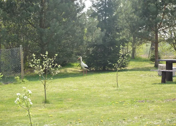 Dom wakacyjny Bociania Ostoja Mikołajki